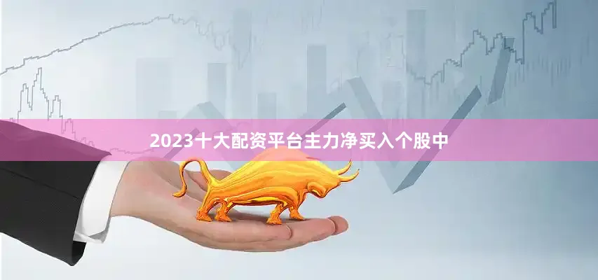 2023十大配资平台　　主力净买入个股中