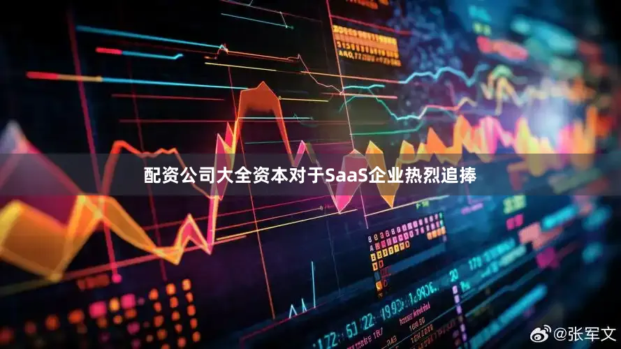 配资公司大全资本对于SaaS企业热烈追捧