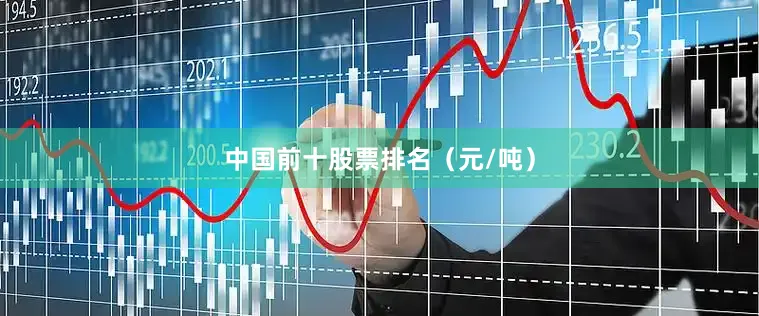 中国前十股票排名（元/吨）