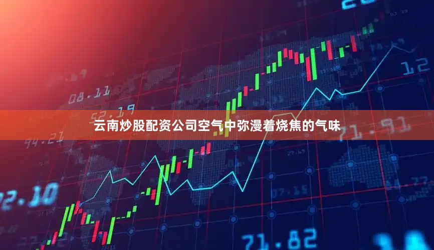 云南炒股配资公司空气中弥漫着烧焦的气味