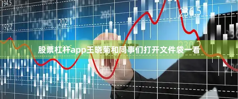 股票杠杆app王晓菊和同事们打开文件袋一看