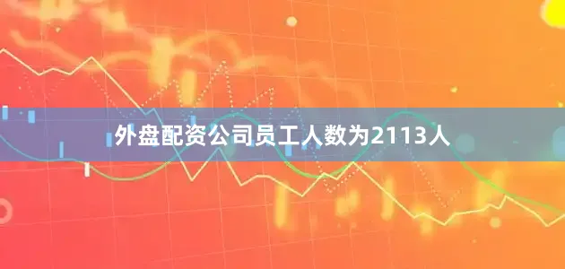 外盘配资公司员工人数为2113人