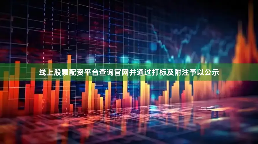 线上股票配资平台查询官网并通过打标及附注予以公示