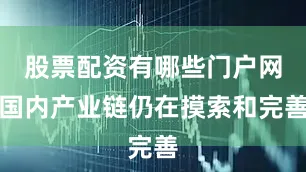 股票配资有哪些门户网国内产业链仍在摸索和完善