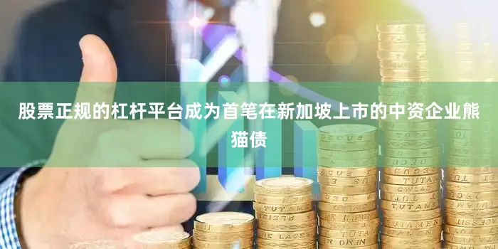 股票正规的杠杆平台成为首笔在新加坡上市的中资企业熊猫债